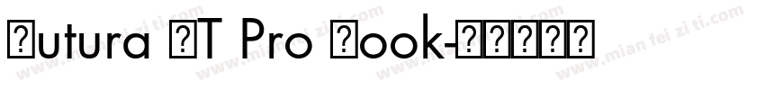 Futura LT Pro Book字体转换